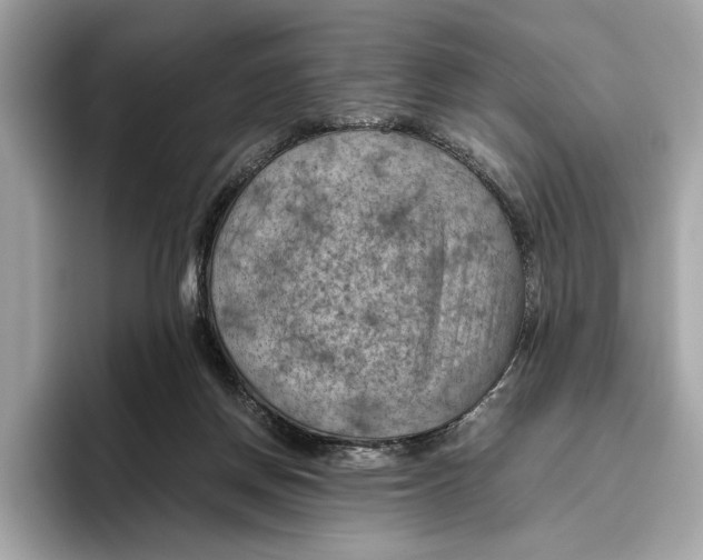 X0000096440166200802141459