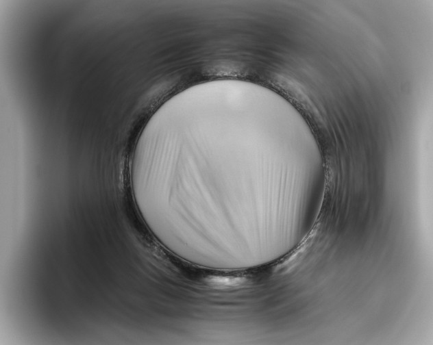 X0000096440167200802141459