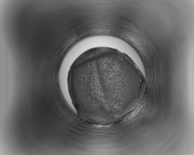 X0000096440168200802141459