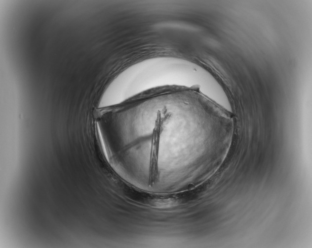 X0000096440169200802141459