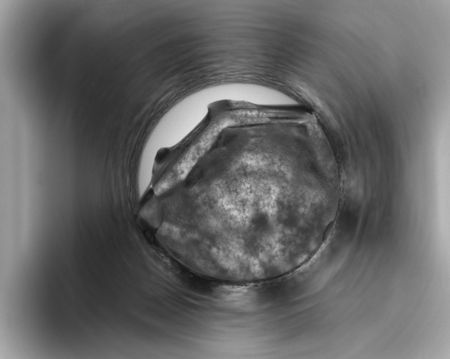 X0000096440170200802141459