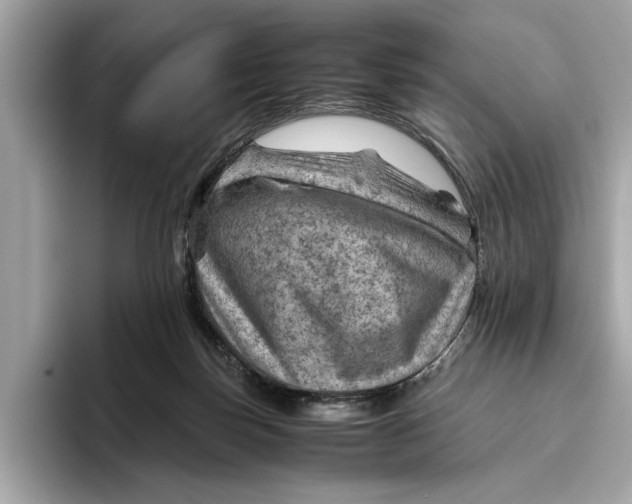 X0000096440171200802141459