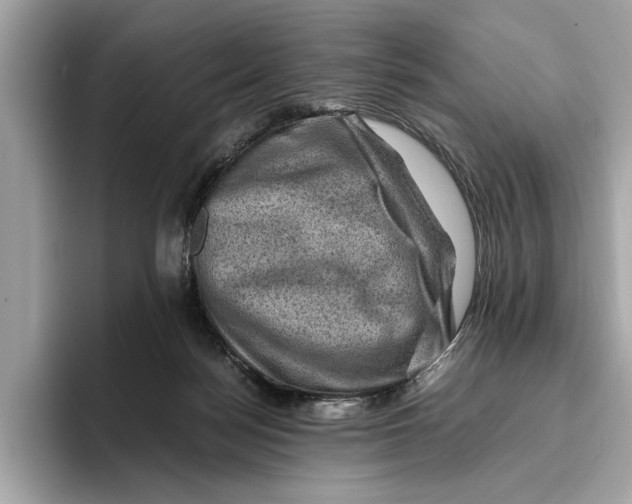 X0000096440172200802141459