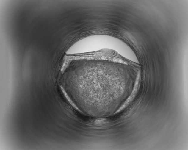 X0000096440173200802141459