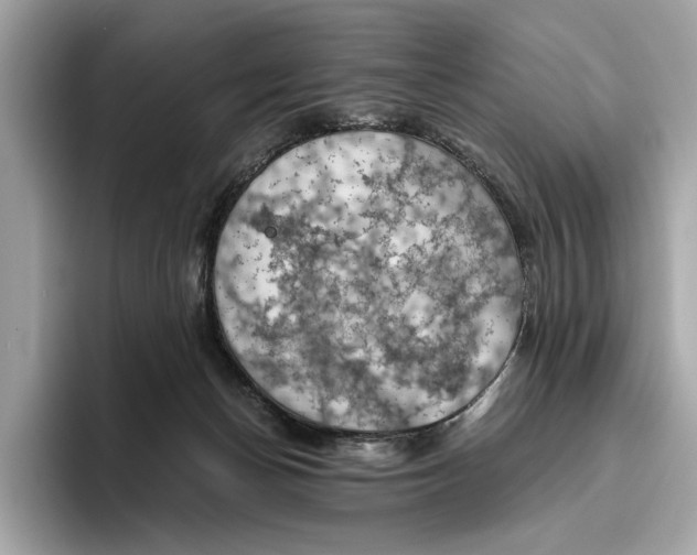 X0000096440174200802141459