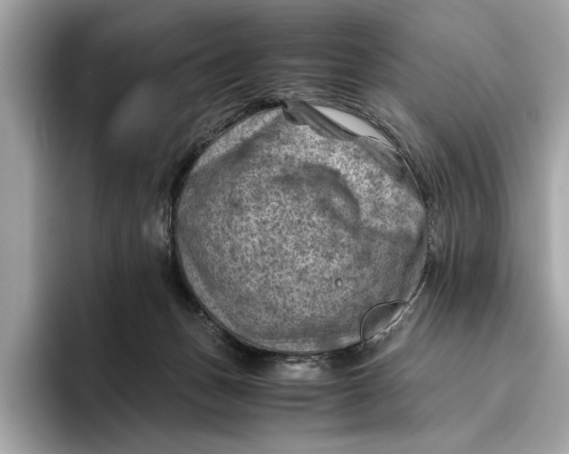 X0000096440175200802141459