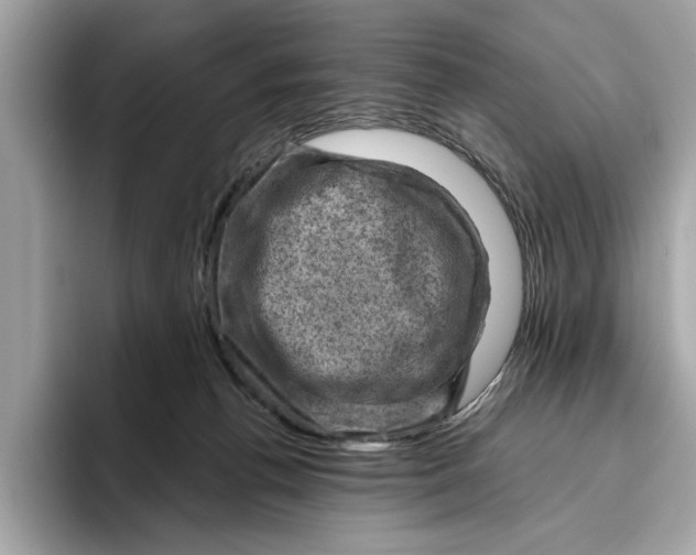 X0000096440176200802141459