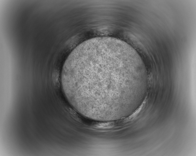 X0000096440178200802141459