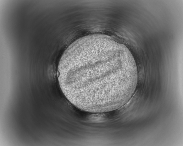 X0000096440179200802141459