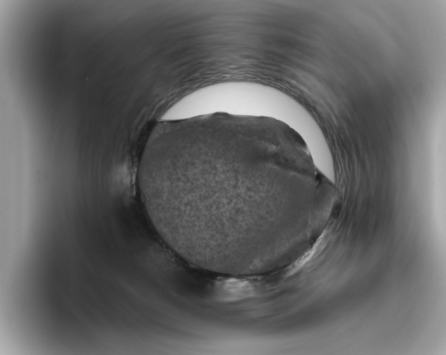 X0000096440180200802141459