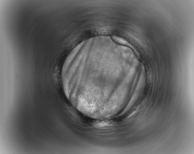 X0000096440181200802141459