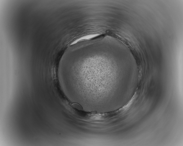 X0000096440182200802141459