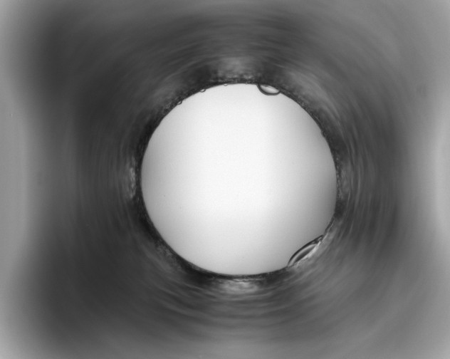 X0000096440183200802141459