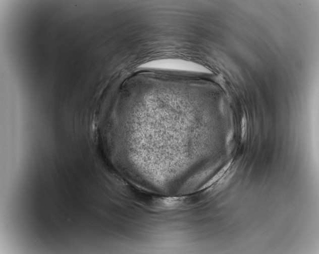 X0000096440184200802141459