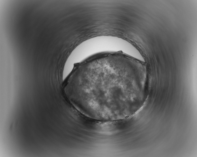 X0000096440186200802141459