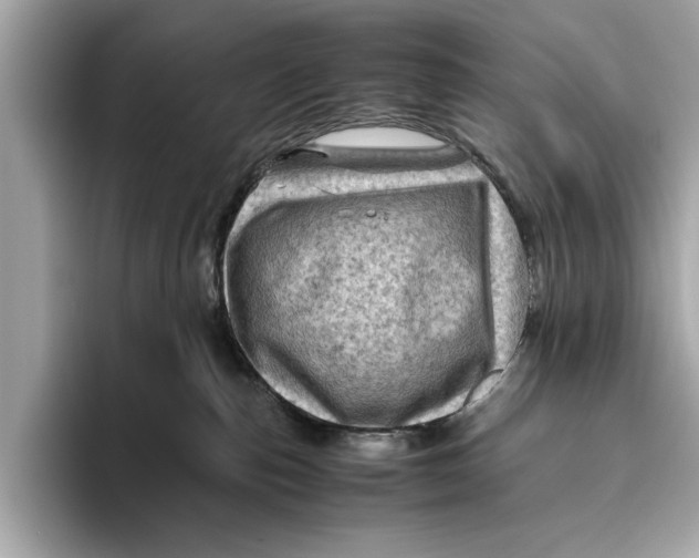 X0000096440187200802141459