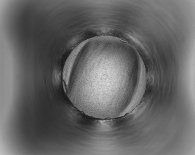 X0000096440188200802141459