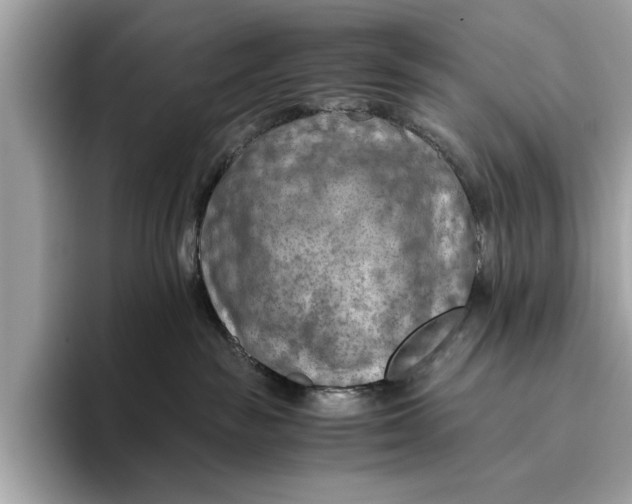 X0000096440189200802141459