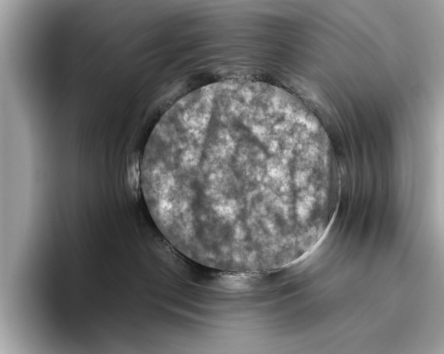 X0000096440190200802141459