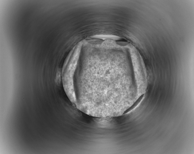 X0000096440191200802141459