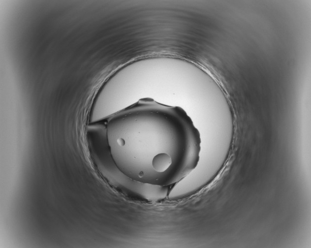 X0000096440193200802141459