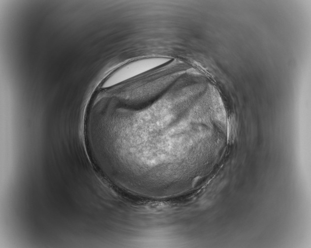 X0000096440195200802141459