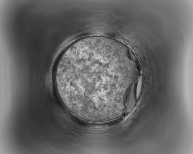 X0000096440198200802141459