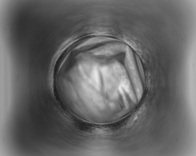 X0000096440199200802141459