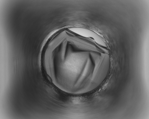 X0000096440200200802141459