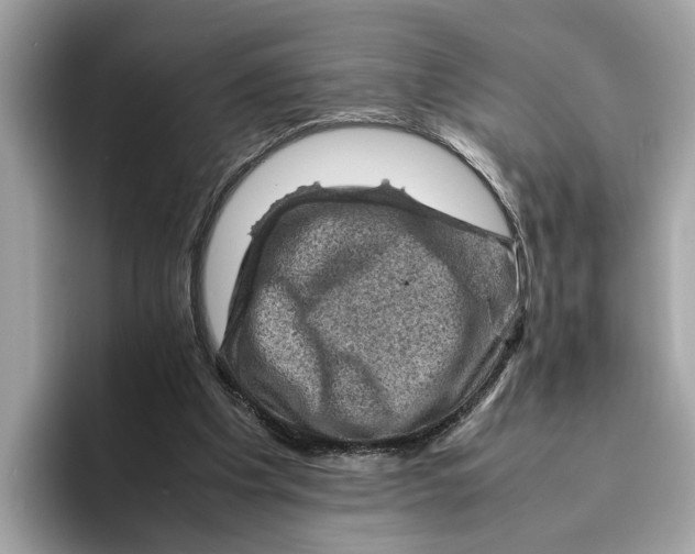 X0000096440201200802141459