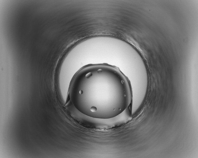 X0000096440203200802141459