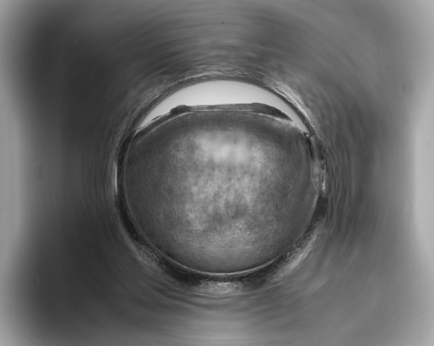 X0000096440205200802141459