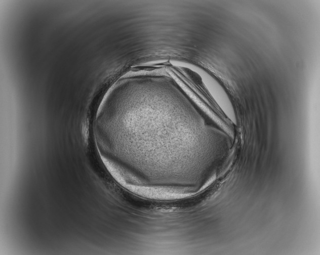 X0000096440206200802141459