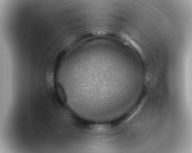 X0000096440209200802141459