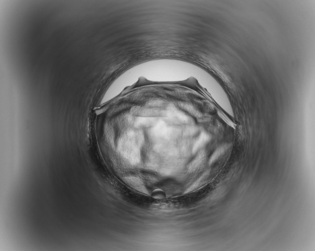 X0000096440211200802141459