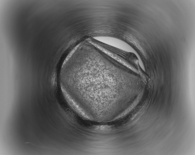 X0000096440212200802141459