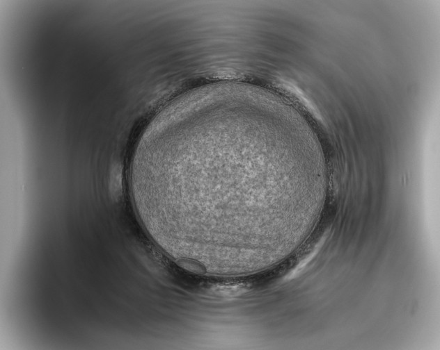 X0000096440213200802141459