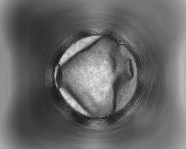 X0000096440215200802141459