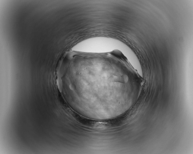 X0000096440222200802141458