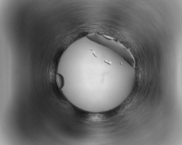 X0000096440226200802141458