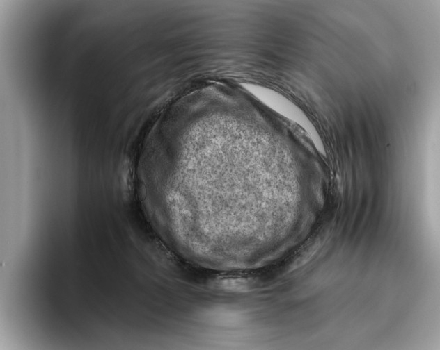 X0000096440228200802141458