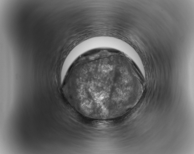 X0000096440229200802141458