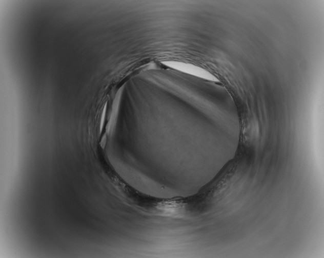 X0000096440231200802141458