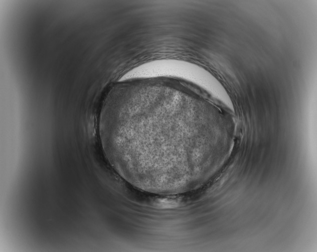 X0000096440232200802141458