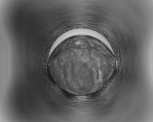 X0000096440233200802141458