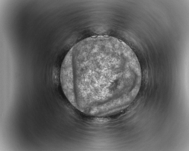 X0000096440234200802141458