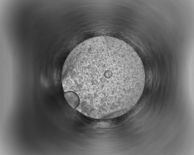 X0000096440236200802141458