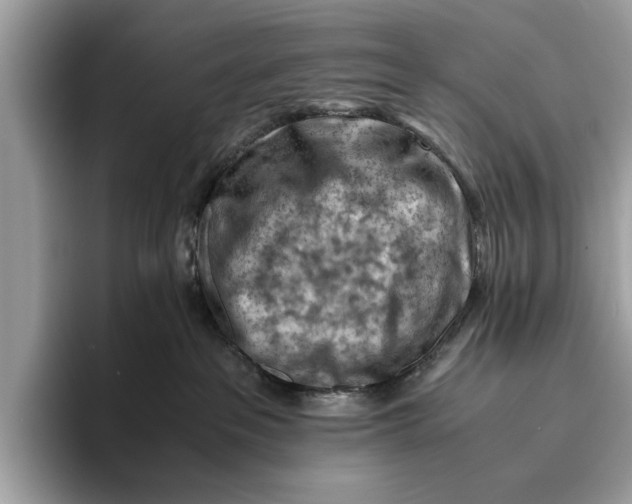 X0000096440237200802141458