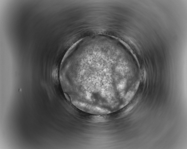 X0000096440238200802141458