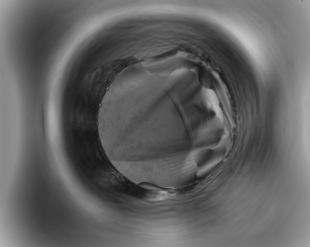 X0000096440239200802141458